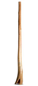 CrookedStixz and 3D Didgeridoos Collaboration (AH425)